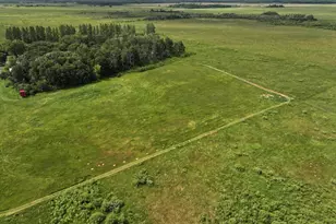 3796 300th St, Cannon Twp, MN 56734 - Photo 5