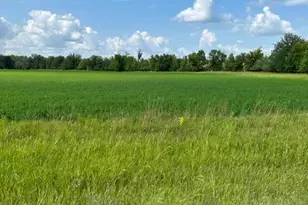 Tbd Sorteberg Dr, Thief River Falls, MN 56701 - Photo 1