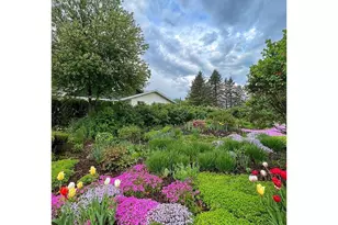 8220 Lake Dr NE, Forest Lake, MN 55025 - Photo 13