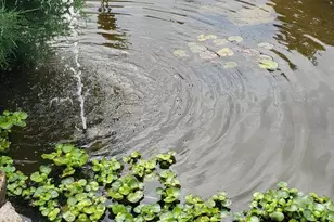 284 Elm St S, Prescott, WI 54021 - Photo 35