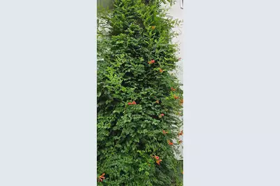 309 5th Street SW, Austin, MN 55912 - Photo 77