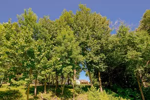 2557 Clementa Ave NW, Buffalo, MN 55313 - Photo 83