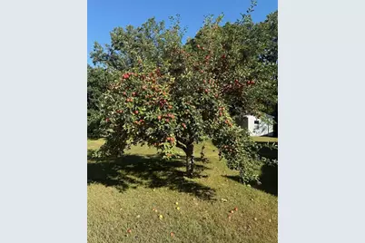 317 2nd Street NE, Menahga, MN 56464 - Photo 35