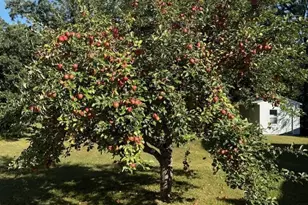 317 2nd St NE, Menahga, MN 56464 - Photo 35