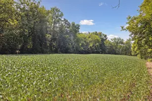 24X1 Holy Name Dr, Medina, MN 55340 - Photo 1