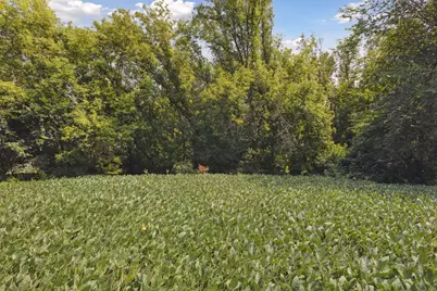 24X4 Holy Name Drive, Medina, MN 55340 - Photo 5