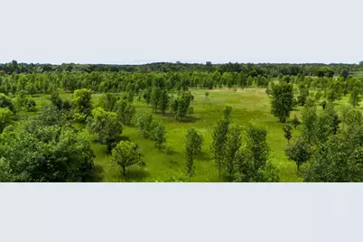 Lot 2 Rutten Lane NE, Carlos, MN 56319 - Photo 1