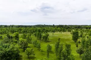 Lot 2 Rutten Ln NE, Carlos, MN 56319 - Photo 1