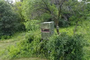 22070 295th Ave, Long Prairie, MN 56347 - Photo 39