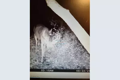 22070 295th Avenue, Long Prairie, MN 56347 - Photo 61