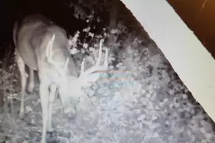 22070 295th Ave, Long Prairie, MN 56347 - Photo 61