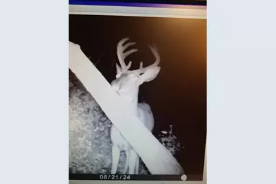 22070 295th Avenue, Long Prairie, MN 56347 - Photo 63