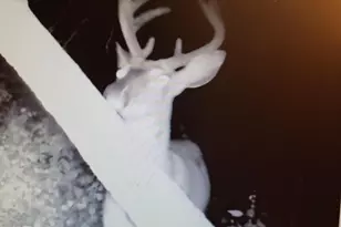 22070 295th Ave, Long Prairie, MN 56347 - Photo 63