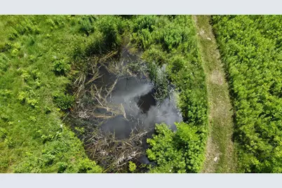 22070 295th Avenue, Long Prairie, MN 56347 - Photo 47