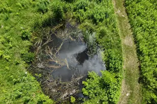 22070 295th Ave, Long Prairie, MN 56347 - Photo 47