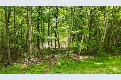 Tbd Lots B & C 389th Avenue, Aitkin, MN 56431 - Photo 15