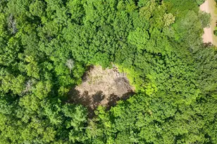 Tbd Lots B & C 389th Ave, Aitkin, MN 56431 - Photo 11