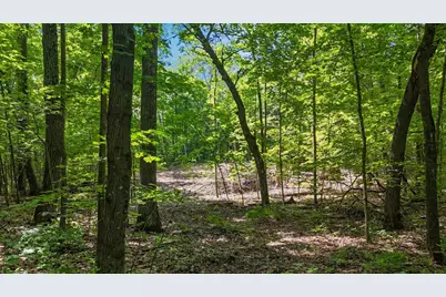 Tbd Lots B & C 389th Avenue, Aitkin, MN 56431 - Photo 7