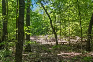 Tbd Lots B & C 389th Ave, Aitkin, MN 56431 - Photo 7