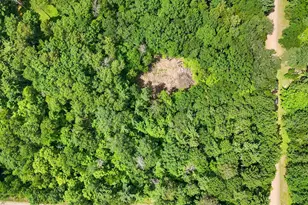 Tbd Lots B & C 389th Ave, Aitkin, MN 56431 - Photo 13