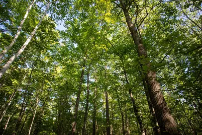 Xxxx Moonlight Drive, Twin Lakes, MN 55718 - Photo 9