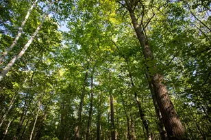 Xxxx Moonlight Dr, Twin Lakes, MN 55718 - Photo 9