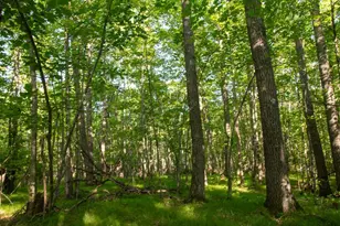 Xxxx Moonlight Dr, Twin Lakes, MN 55718 - Photo 5