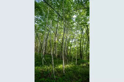 Xxxx Moonlight Drive, Twin Lakes, MN 55718 - Photo 3