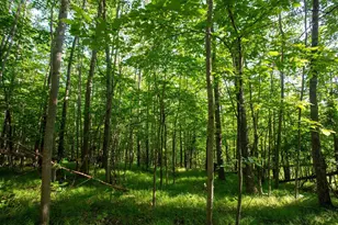 Xxxx Moonlight Dr, Twin Lakes, MN 55718 - Photo 7