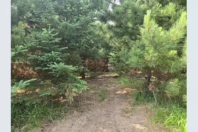 20332 County Highway 25, Detroit Lakes, MN 56501 - Photo 3