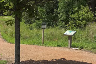 315 Calamus Cir, Medina, MN 55340 - Photo 63