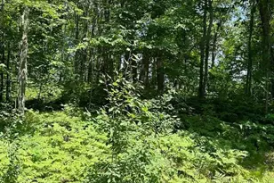 41988 251st Pl, McGregor, MN 55760 - Photo 41