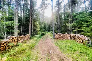 3567 S Dublin Rd, Hibbing, MN 55746 - Photo 1