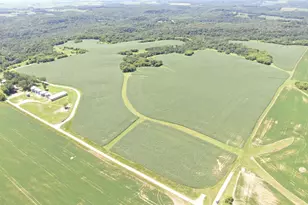 Tbd 70th Street SE, Eyota, MN 55934 - Photo 1