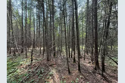 Tbd Arkola Rd., Cotton, MN 55724 - Photo 37