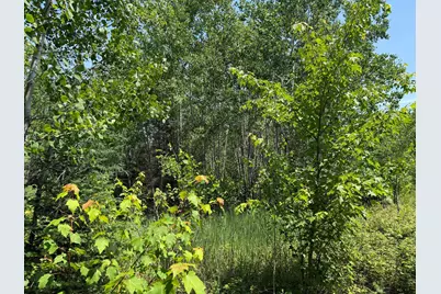 Tbd Arkola Rd., Cotton, MN 55724 - Photo 13