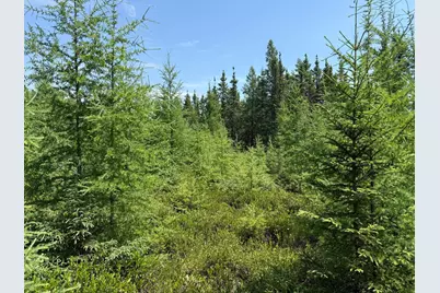 Tbd Arkola Rd., Cotton, MN 55724 - Photo 9