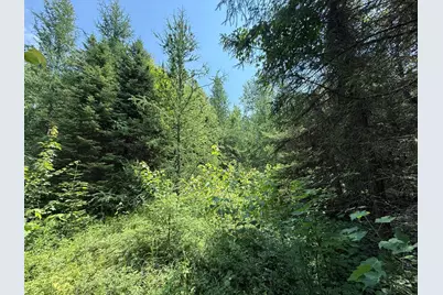 Tbd Arkola Rd., Cotton, MN 55724 - Photo 35