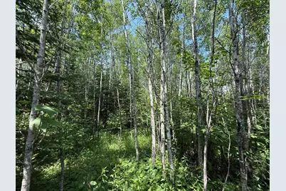 Tbd Arkola Rd., Cotton, MN 55724 - Photo 15