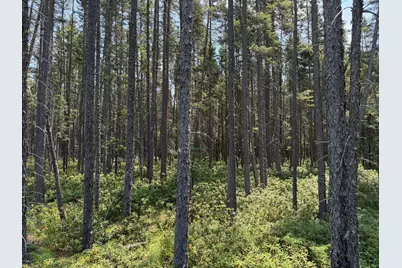 Tbd Arkola Rd., Cotton, MN 55724 - Photo 23