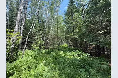 Tbd Arkola Rd., Cotton, MN 55724 - Photo 27