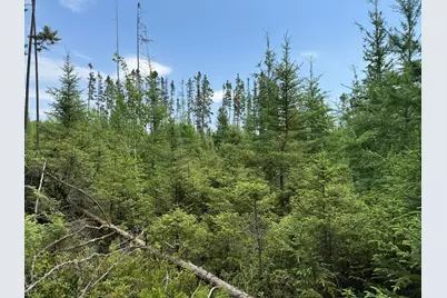 Tbd Arkola Rd., Cotton, MN 55724 - Photo 45