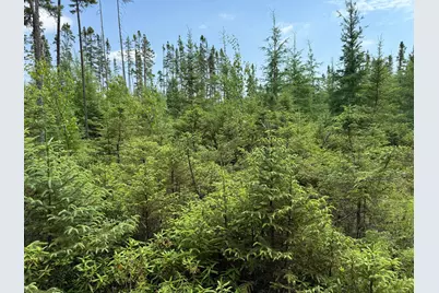 Tbd Arkola Rd., Cotton, MN 55724 - Photo 43