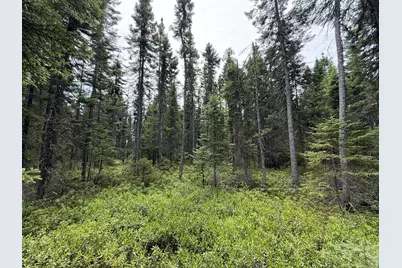 Tbd Arkola Rd., Cotton, MN 55724 - Photo 49