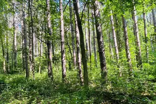 Tbd Brown Ln, Pepin, WI 54759 - Photo 1