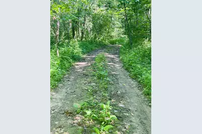 Tbd Brown Lane, Pepin, WI 54759 - Photo 7