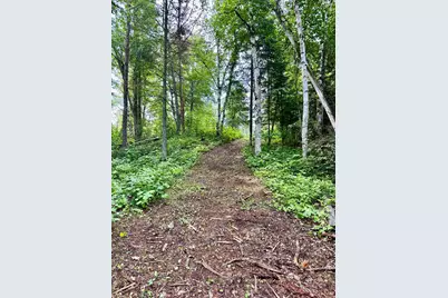 21761 Bemis Hill Forest Road, Salol, MN 56756 - Photo 43