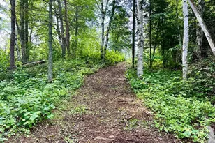 21761 Bemis Hill Forest Rd, Salol, MN 56756 - Photo 43