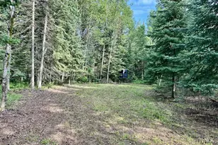 21761 Bemis Hill Forest Rd, Salol, MN 56756 - Photo 45