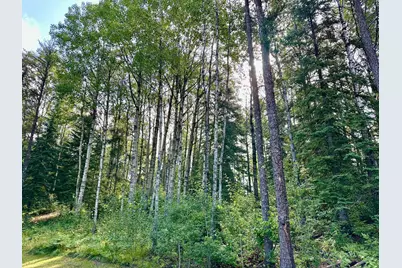 21761 Bemis Hill Forest Road, Salol, MN 56756 - Photo 47